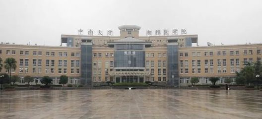 面对大疫,才晓得湖南的战“疫”水平真的蛮硬扎!