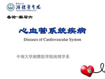 实习六-心血管系统PPT